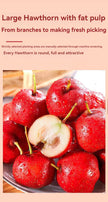 WITHYOUNG Hawthorn Roll 95g