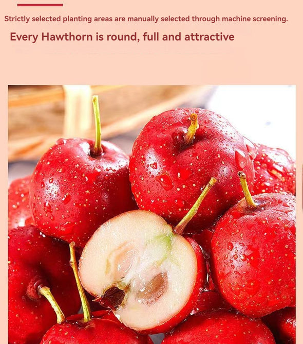 WITHYOUNG Hawthorn Roll 95g