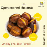 MINIKING Open-ended chestnut