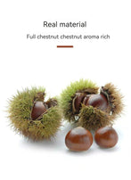 XUEJICHAOHUO open-ended sweet chestnut