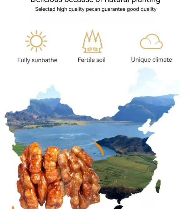 XUEJICHAOHUO amber walnut kernels in a jar