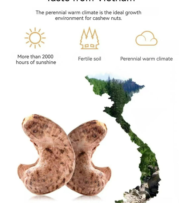 XUEJICHAOHUO purple skin cashew a bag