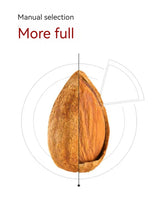 XUEJICHAOHUO a bag of almonds