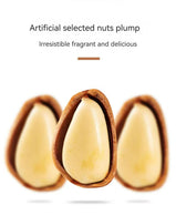 XUEJICHAOHUO Two bags of open-ended pine nuts