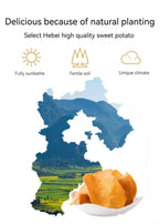 XUEJICHAOHUO a bag of sweet potato chips