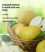 Sea Salt Lemon Mints, Salty sweet, Rich taste, Throat lozenges, Filling, Suitable for office eating, Casual snacks, 200g/7.05oz* jar