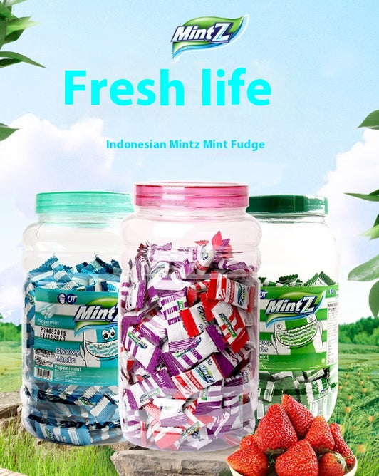 Mixed Fruit Gummy, Cool Fruit candy, Cherry Sweet, Mint fragrance, Individual pack, Casual snacks, Fresh breath, Christmas, imported from Indonesia, 460g/16.23oz* bucket