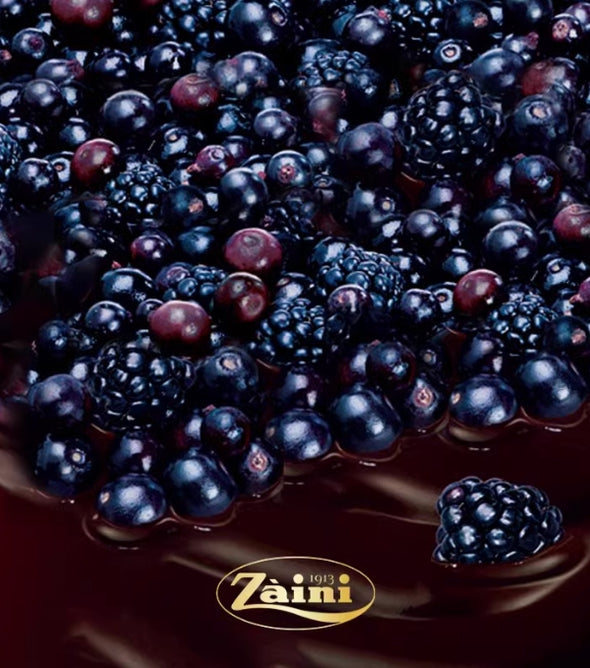 Italian Imported Blackberry & Blackcurrant Fruit-filled Dark Chocolate, with Pure Cocoa Butter. Part of Fruit Chocolate Series, Chocolate Beans. Ideal Leisure Snacks. 125g per Bag.