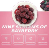 Nine-Processed Waxberry Vibrant Red Hue Sweet & Tart Aftertaste Bright Color Appearance Delicate Texture Refreshing & Non-Greasy Natural Fruit Snack 128g/Bag
