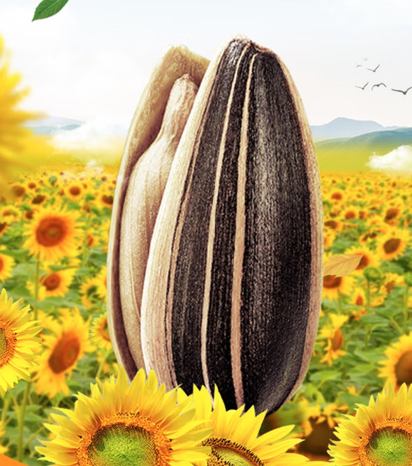 Melon Seeds Mixed Flavor Combination of Sweet and Spicy Aftertaste Leisure Office Essentials 18g/1bag