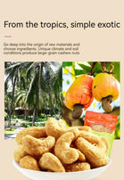 LYFEN Charcoal Roasted Cashew Nuts