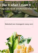 BE&CHEERY Golden Rice Beans Creamy Flavour 168g