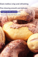 WITHYOUNG Purple Cashew Nuts 100g