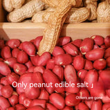 MINIKING Original Peanuts