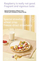 OCAK Cereal Strawberry Fruit Cereal Oatmeal