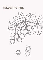 LYFEN Creamy Macadamia Nut