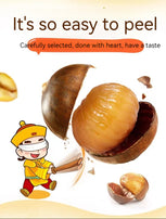 MINIKING Open-ended cooked chestnut kernels