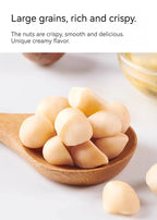 LYFEN Creamy Macadamia Nut