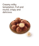LYFEN Creamy Macadamia Nut