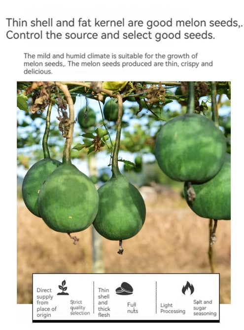 LYFEN Trichosanthes Seed