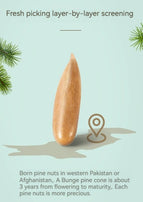 LYFEN Hand Peel The Brazilian Pine Nuts