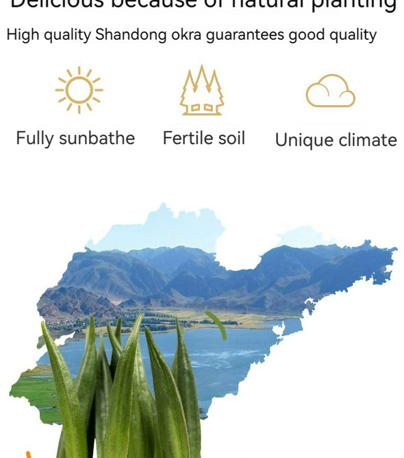 XUEJICHAOHUO okra crispy bag