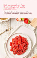 LYFEN Dried Red Bayberry