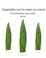 XUEJICHAOHUO okra crispy bag