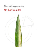 XUEJICHAOHUO okra crispy bag