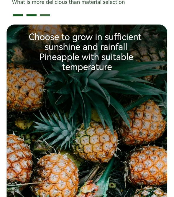 XUEJICHAOHUO a bag of dried pineapple