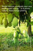 LYFEN Dried Green Mango 108g