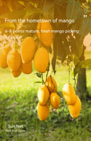 LYFEN Dried Golden Mango 108g