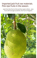 LYFEN Dried Jackfruit 16g
