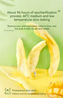 LYFEN Dried Green Mango 108g