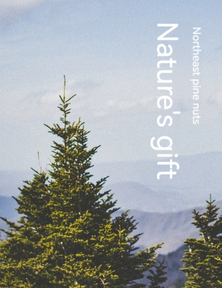 LYFEN Original Pine Nut